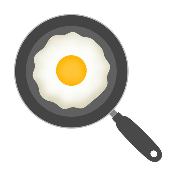 Detail Clipart Fried Egg Nomer 32