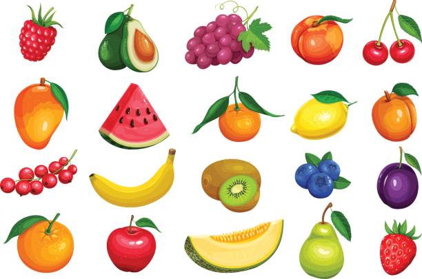 Detail Clipart Fruits Nomer 7