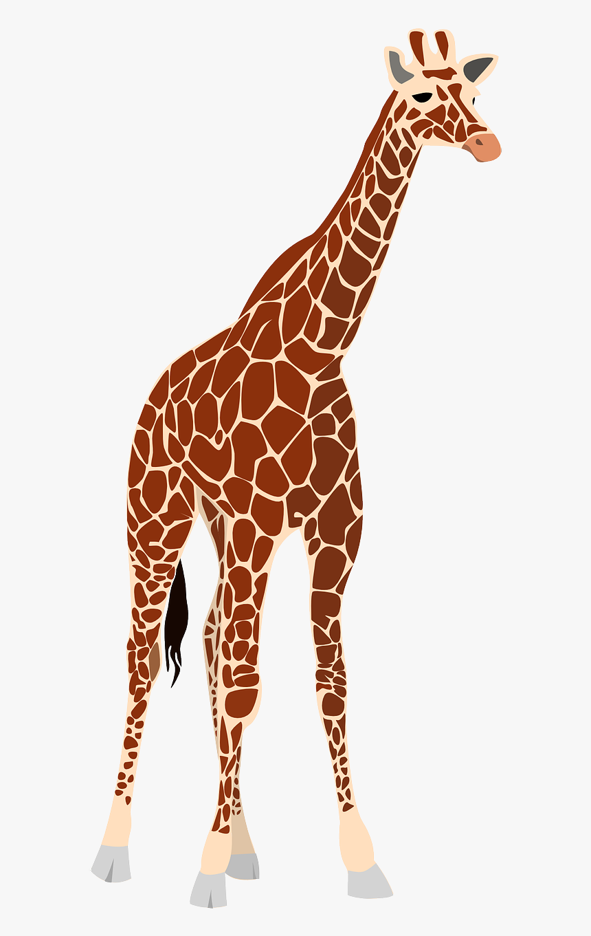 Detail Clipart Giraffe Nomer 44