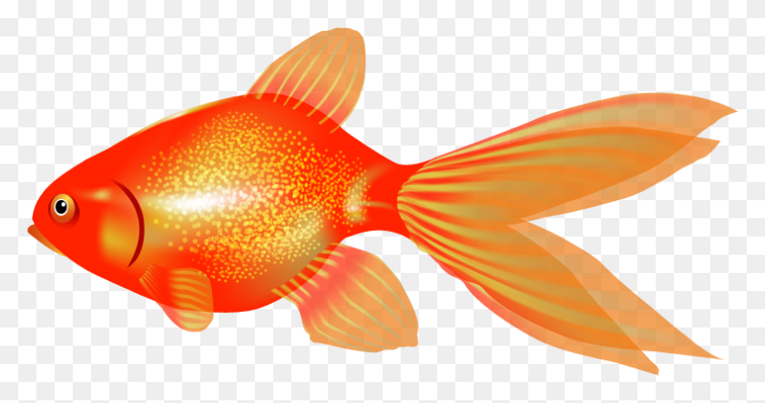 Detail Clipart Goldfish Nomer 25