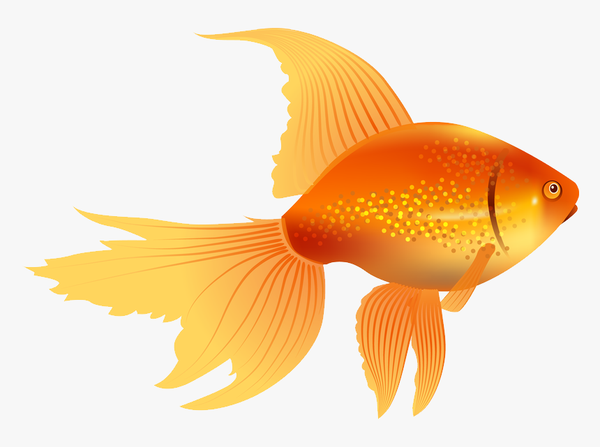 Detail Clipart Goldfish Nomer 6