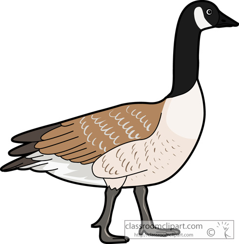 Detail Clipart Goose Nomer 32