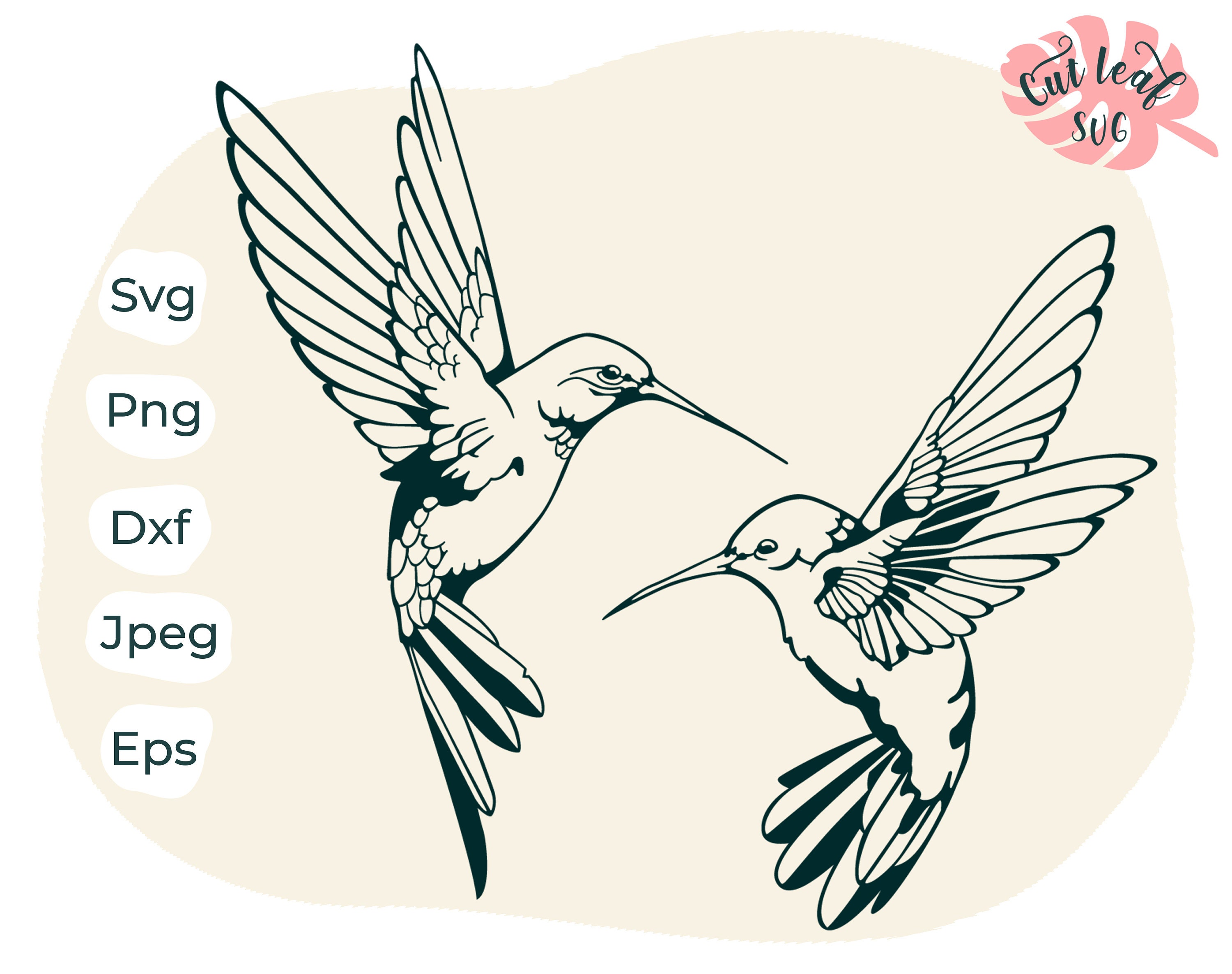 Detail Clipart Hummingbird Nomer 34