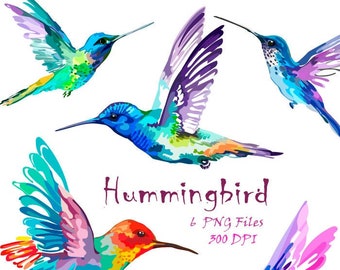 Detail Clipart Hummingbird Nomer 48