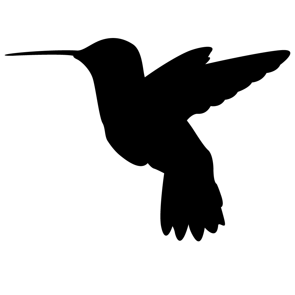 Detail Clipart Hummingbird Nomer 53