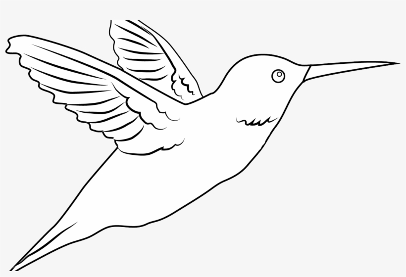 Detail Clipart Hummingbird Nomer 55