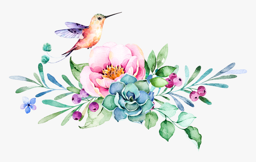 Detail Clipart Hummingbird And Flower Nomer 3
