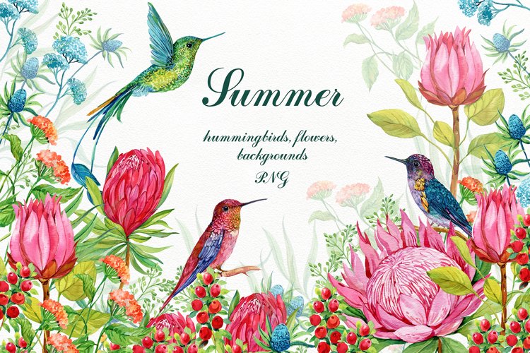 Detail Clipart Hummingbird And Flower Nomer 42
