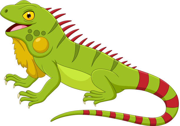 Clipart Iguana - KibrisPDR