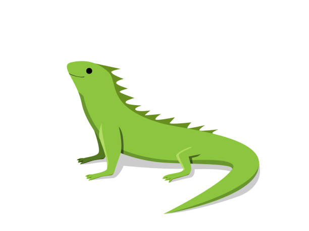 Detail Clipart Iguana Nomer 2