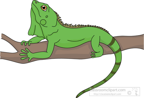 Detail Clipart Iguana Nomer 12