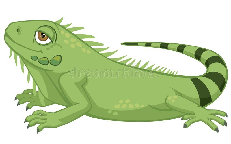 Detail Clipart Iguana Nomer 14