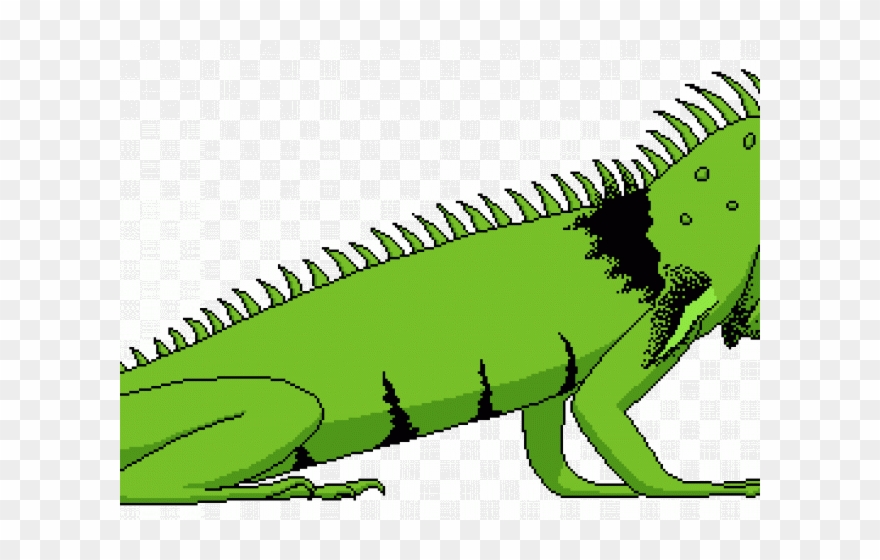 Detail Clipart Iguana Nomer 16