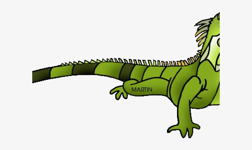 Detail Clipart Iguana Nomer 19