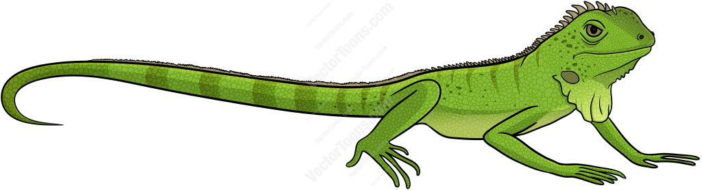 Detail Clipart Iguana Nomer 20