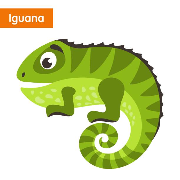 Detail Clipart Iguana Nomer 28