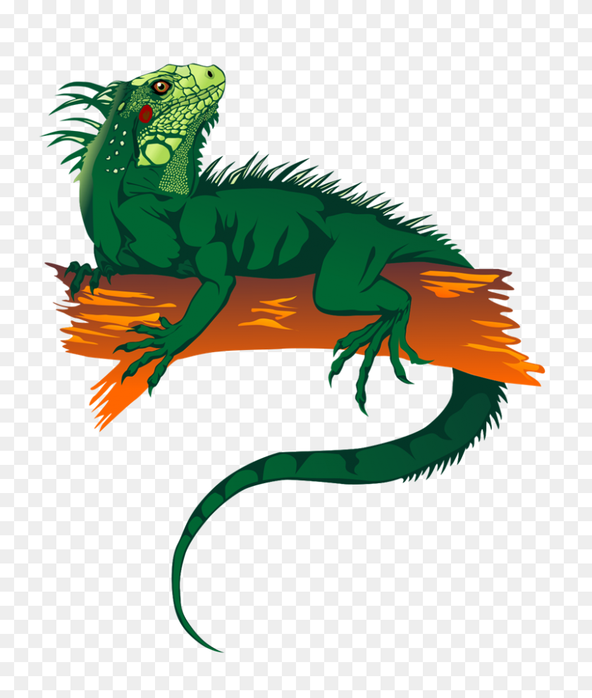 Detail Clipart Iguana Nomer 32