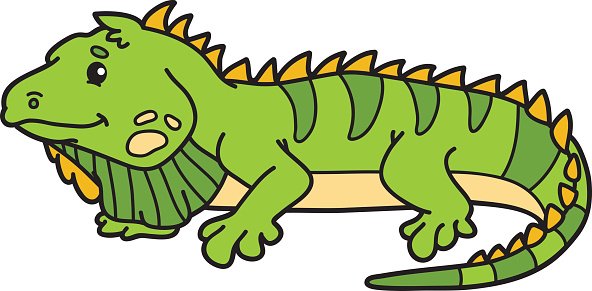 Detail Clipart Iguana Nomer 37