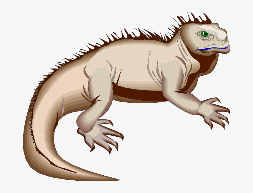 Detail Clipart Iguana Nomer 45