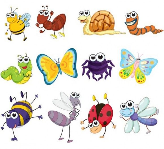 Detail Clipart Images Of Insects Nomer 26