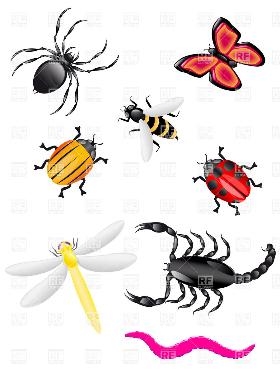 Detail Clipart Images Of Insects Nomer 3