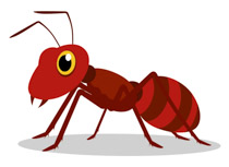 Detail Clipart Images Of Insects Nomer 40