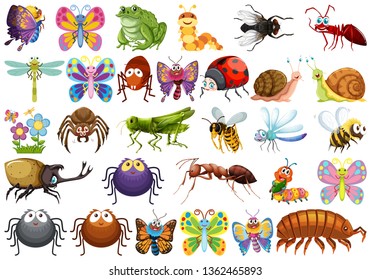Detail Clipart Images Of Insects Nomer 43