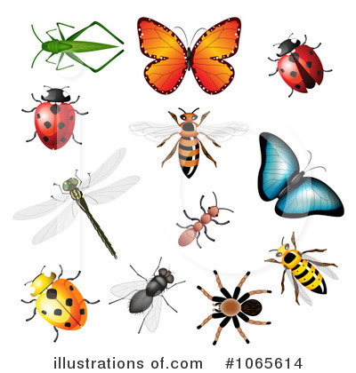 Detail Clipart Images Of Insects Nomer 46