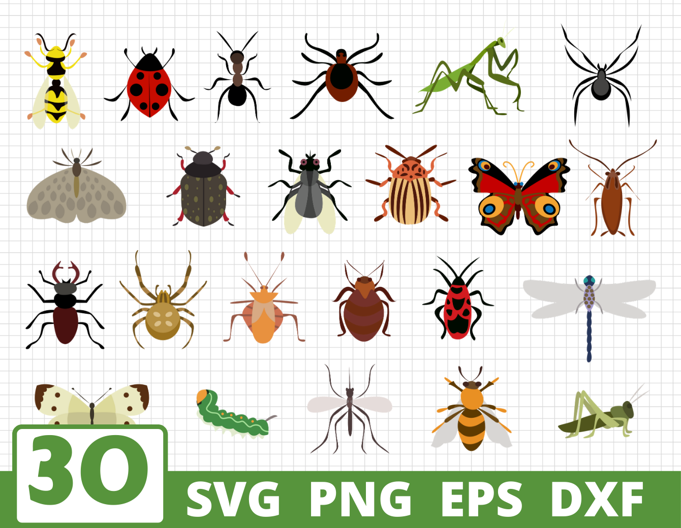 Detail Clipart Insects Nomer 10