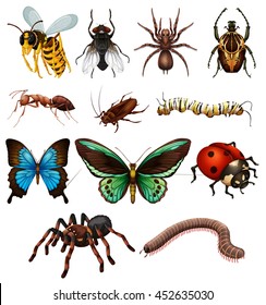 Detail Clipart Insects Nomer 15