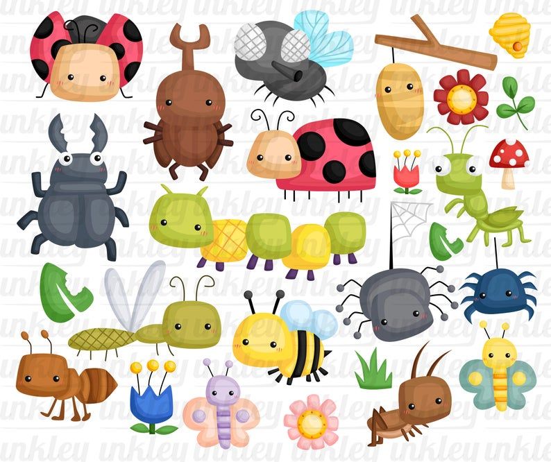 Detail Clipart Insects Nomer 46