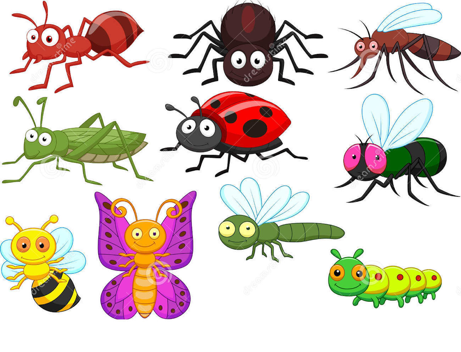 Detail Clipart Insects Nomer 47