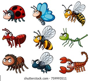 Detail Clipart Insects Nomer 55