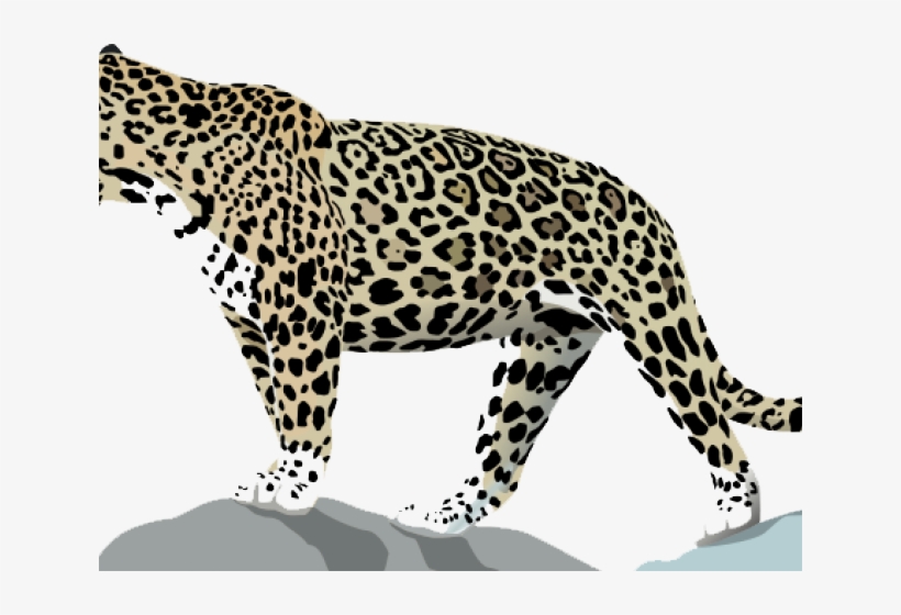 Detail Clipart Jaguar Nomer 38