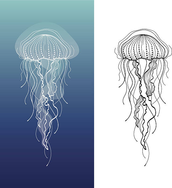 Detail Clipart Jellyfish Nomer 22