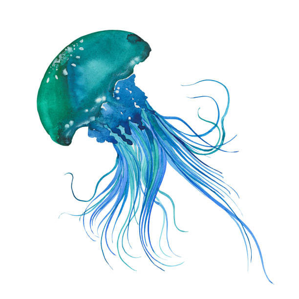 Detail Clipart Jellyfish Nomer 32