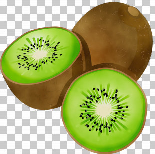 Detail Clipart Kiwi Nomer 12
