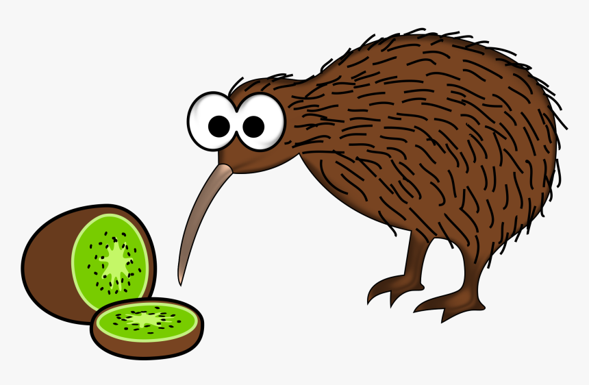 Detail Clipart Kiwi Nomer 16