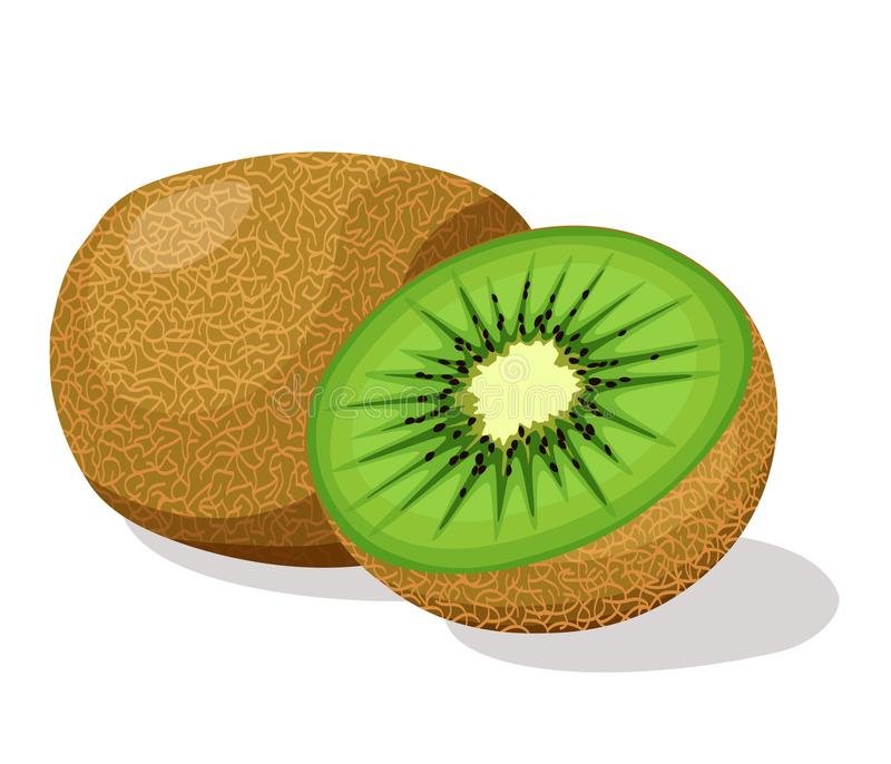Detail Clipart Kiwi Nomer 17