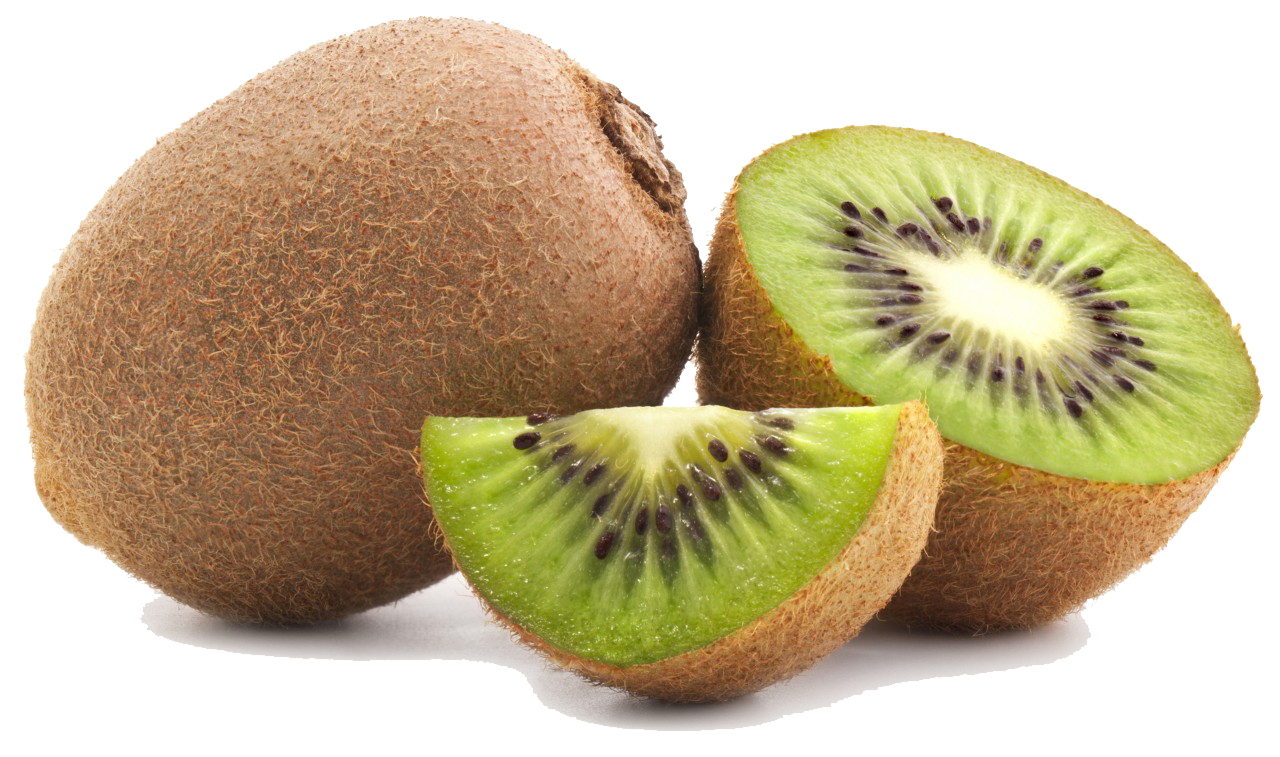 Detail Clipart Kiwi Nomer 19