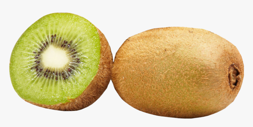 Detail Clipart Kiwi Nomer 22