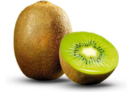 Detail Clipart Kiwi Nomer 23
