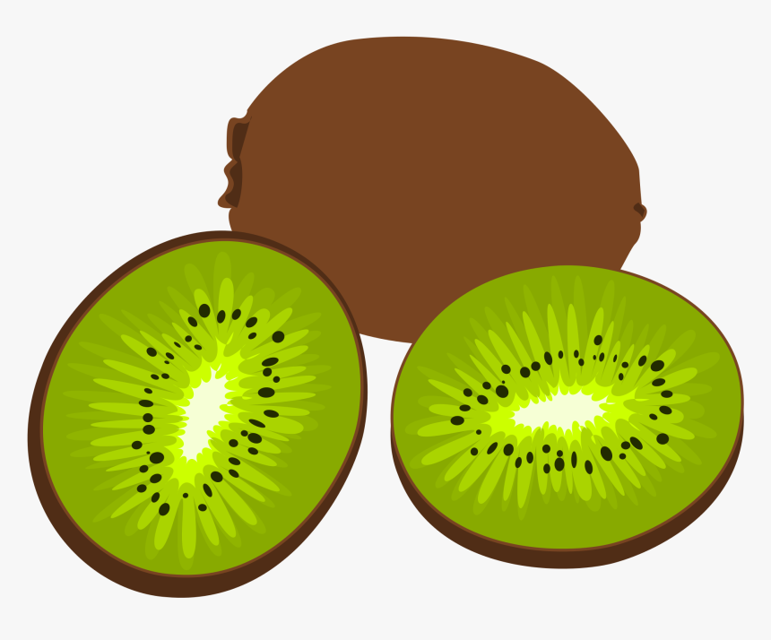 Detail Clipart Kiwi Nomer 24