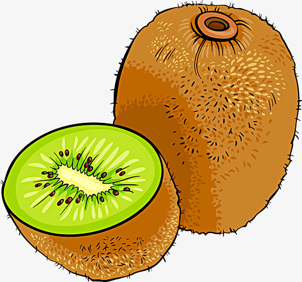Detail Clipart Kiwi Nomer 26