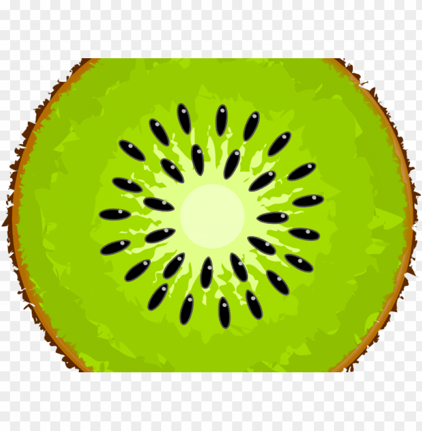 Detail Clipart Kiwi Nomer 27