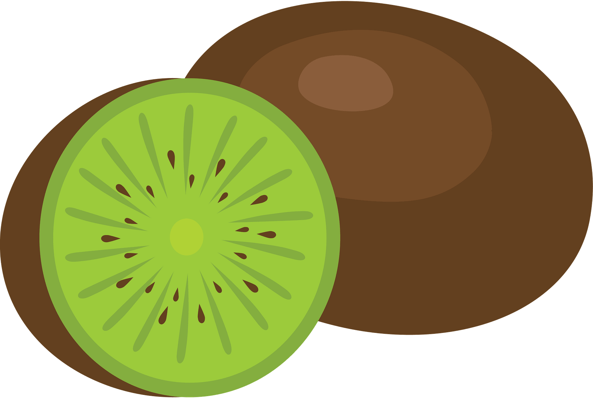 Detail Clipart Kiwi Nomer 31