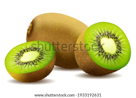 Detail Clipart Kiwi Nomer 32