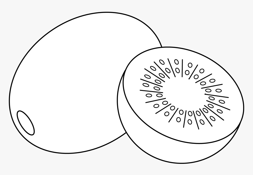 Detail Clipart Kiwi Nomer 33
