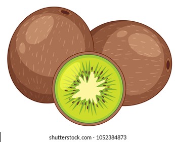Detail Clipart Kiwi Nomer 36