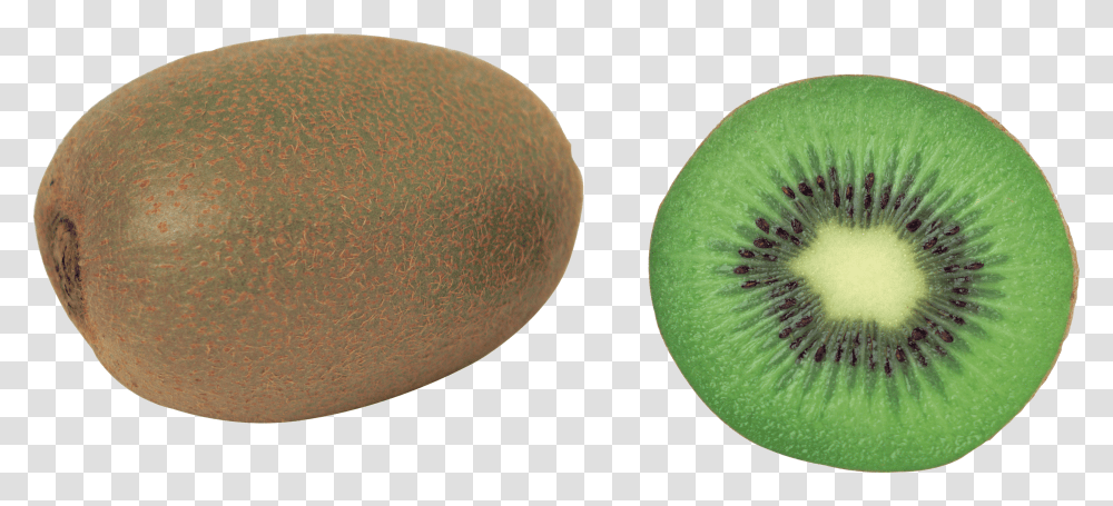 Detail Clipart Kiwi Nomer 40